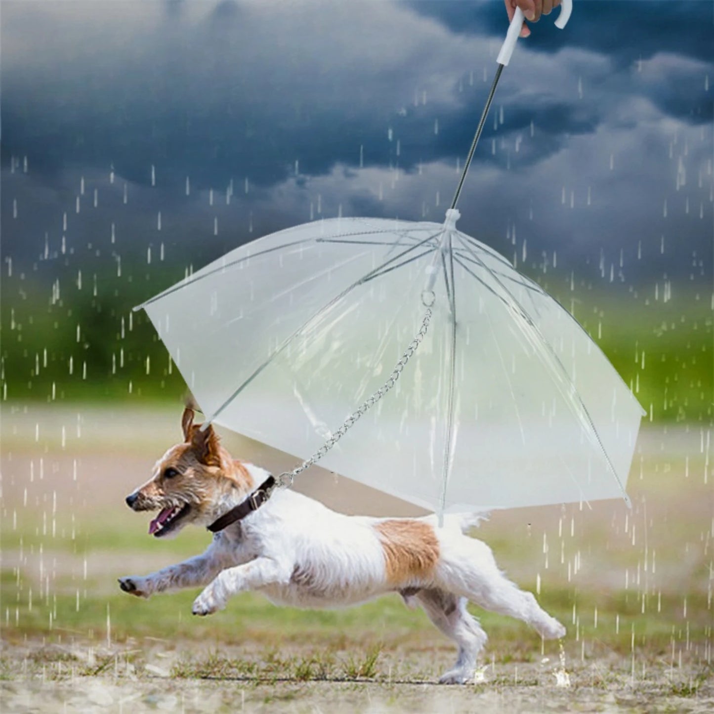 Dog Umbrella with Metal Chain, Suitable for Small Teddy Dogs and Bichon Frize, Foldable Pet Dog Umbrella, with Traction Rope Chain, Adjustable Handle and Assembled Raincoat, Suitable for Dog Walking and Rainproof in the Snow,