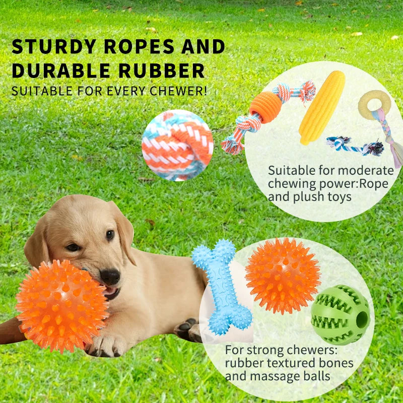 18 Dog Toy Packs - Squeaks, Balance Bikes, Ropes And Interactive Pet Toys, Food Dispensers With Training, Chewing And Mental Sti