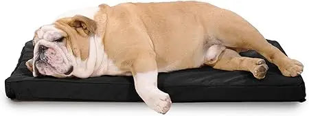 Tough Rip-Stop Orthopedic Dog Crate Bed - Durable, Removable, and Washable Cover, Kennel Crate Pad Fits in Crate, Medium 35"x22