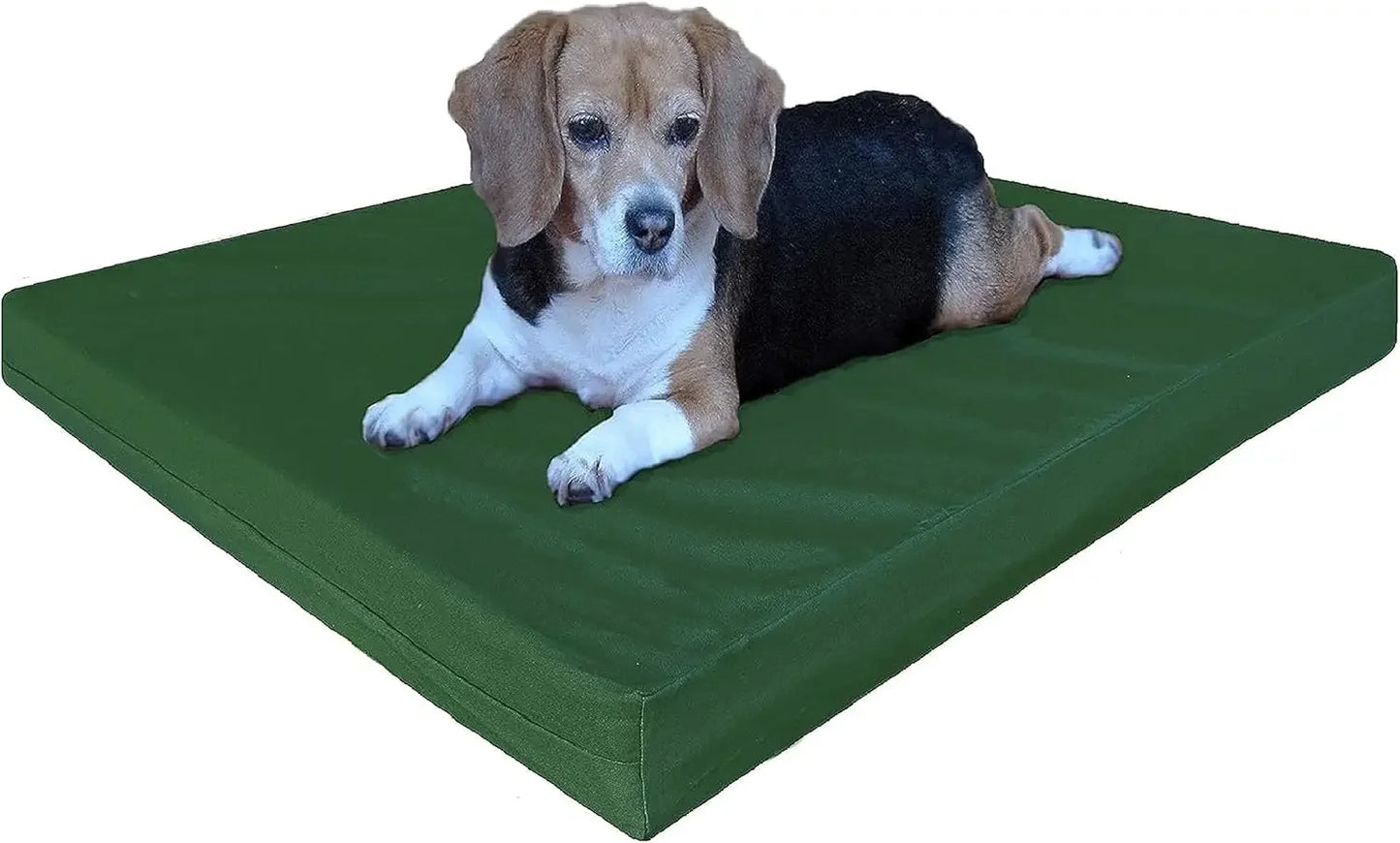 Orthopedic Gel Infused Memory Foam Dog Bed for Large Pet, Waterproof Liner with Durable Canvas Cover