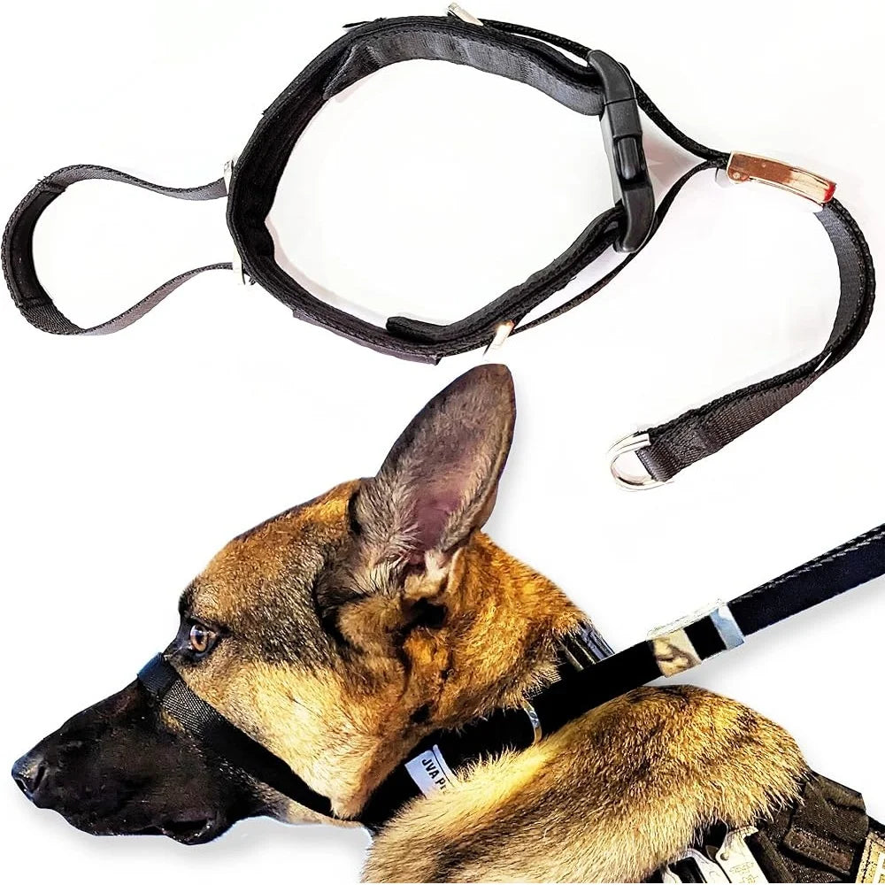 Large No Pull Dog Headcollar Adjustable Training Gear Gentle Comfortable Design Walking Leash Control Safe Humane Solution