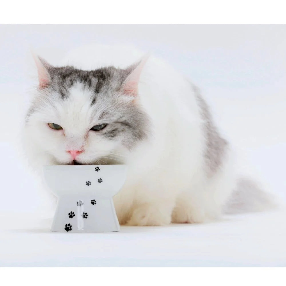 Raised Cat Treats Bowl Adorable Design Non-Slip Feeding Bowl Stress Reducing Height Dishwasher Safe Japan Import Pet Supplies
