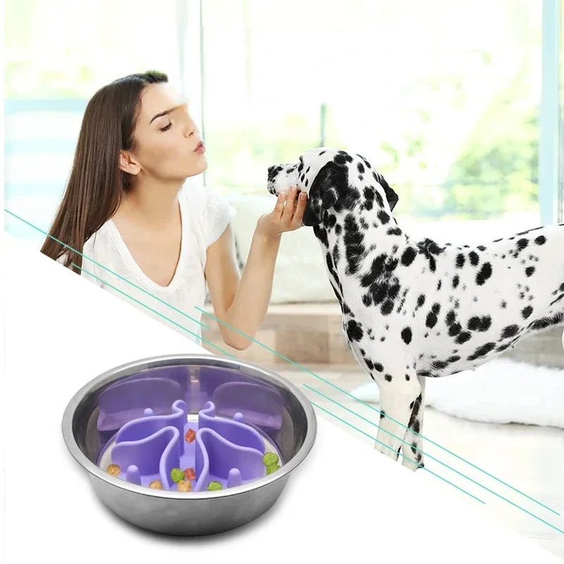 Small with Strong Silicone Products Insert for Cup Medium Large Bowl Slow Pet Spiral Feeding Dogs Suction Feeder