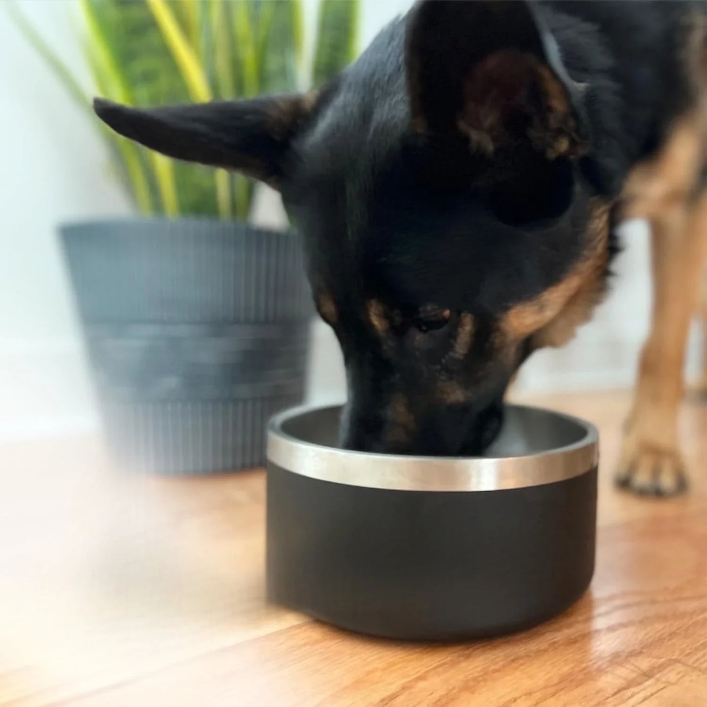Rust-proof metal and non-slip dog bowl Large, leak-proof heavy duty 3-layer insulated dog bowl - dog