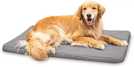 Tough Rip-Stop Orthopedic Dog Crate Bed - Durable, Removable, and Washable Cover, Kennel Crate Pad Fits in Crate, Medium 35"x22