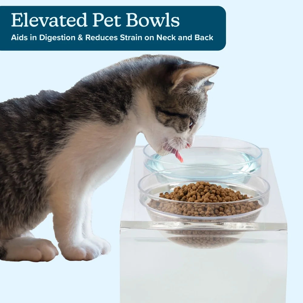 Elevated Dog Cat Bowls Set Acrylic Stand 7.1in Tall Four Bowls Included Easy Clean Modern Design Stable Feeding Station