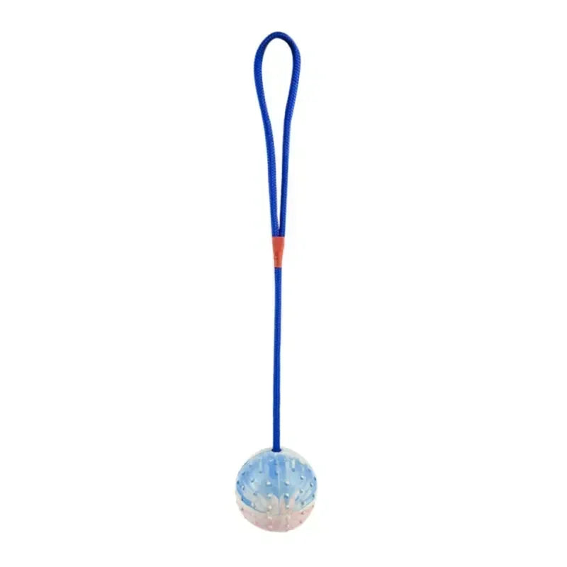 Rubber Interactive Training Toy Dog Dogs Pet Reward For Toy On Supplies Rope Funny Natural Dog Fetch Training Play Ball