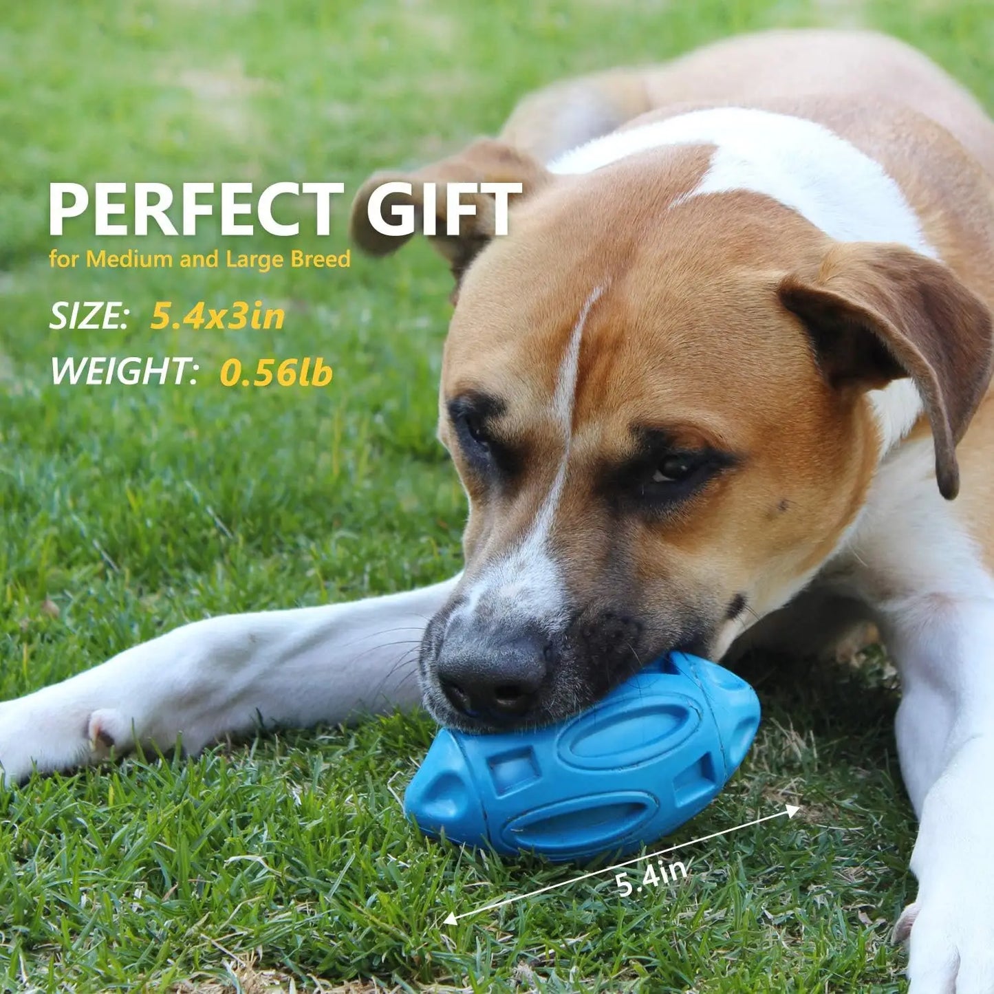 Indestructible Rubber Squeaky Chew Ball for Aggressive Medium/Large Dog Chewers, Durable Pet Toy