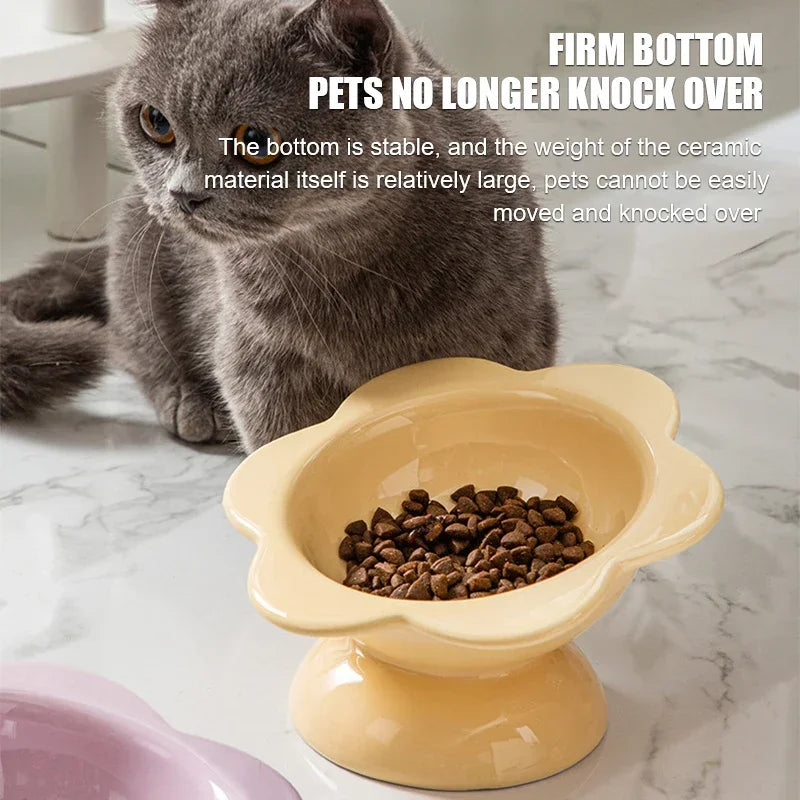 Cat Water Ceramic Bowl Raised Pet Drinking Eating Food Bowls Puppy Dogs Elevated Tilted Feeder Products
