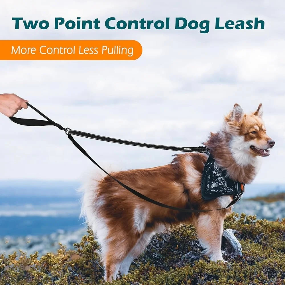 Reflective Two Point Control Dog Leash No Pull Training Lead Soft Padded Handle Comfortable Walking Harness Compatible