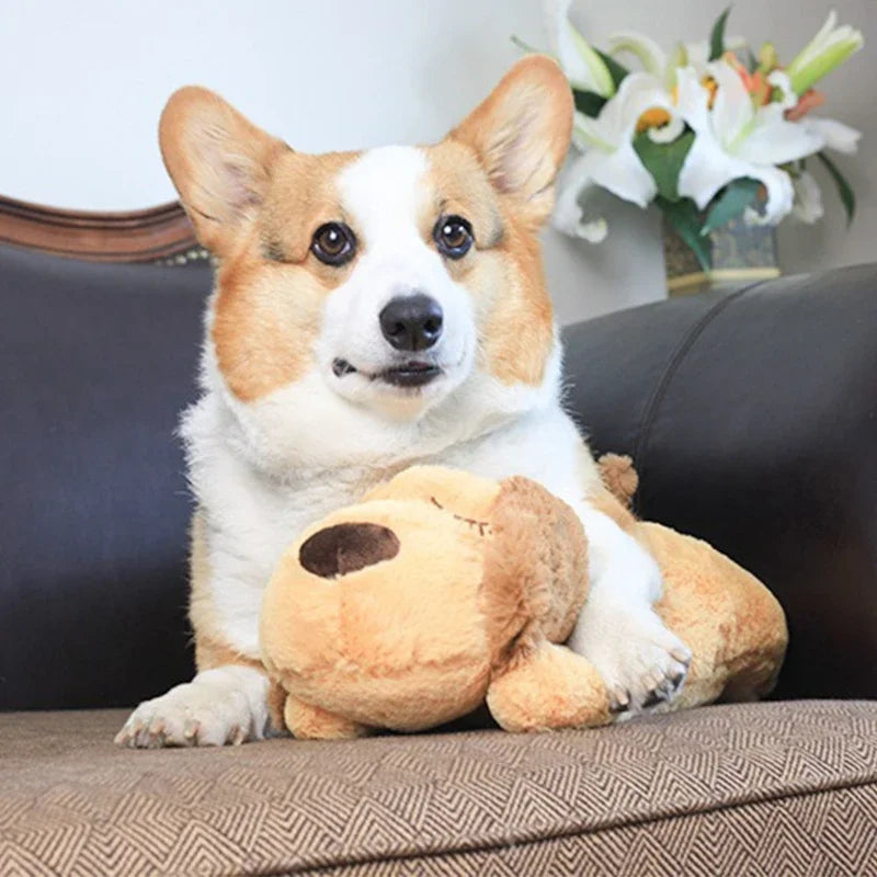 Cute Heartbeat Puppy Behavioral Training Toy Plush Pet Comfortable Snuggle Sleep Aid Doll Durable Dog Everything for Dogs