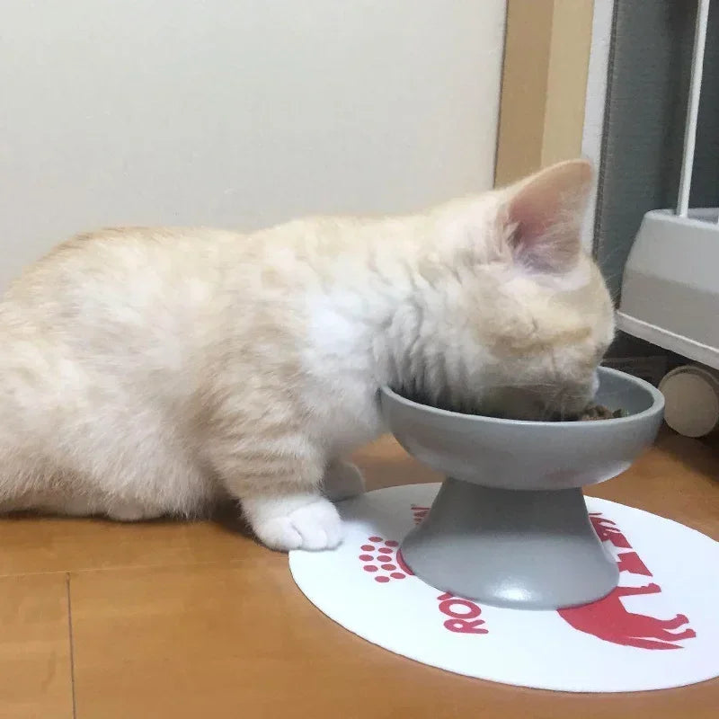 Cat Bowl Anti Vomiting, Elevated Cat Food Bowls, Ceramic Pet Food Bowl for Flat Faced Cats, Small Dogs, Protect Pet's Spine
