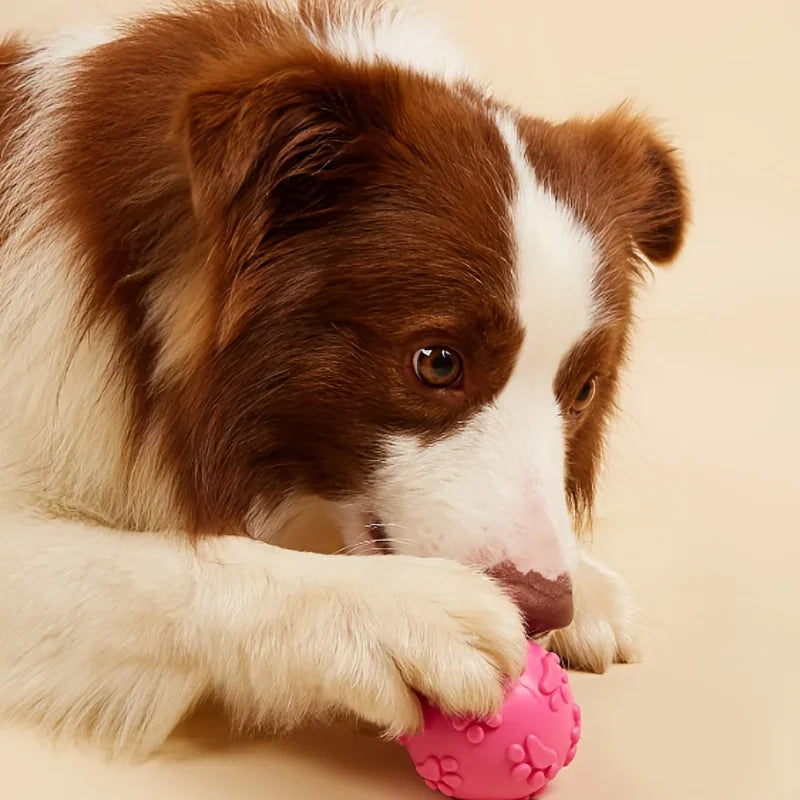 Squeaky Rubber Dog Toy Ball Cartoon Paw Print Design Small Breeds Durable Chew Dental Health Pet Plaything Interactive Dog Toys
