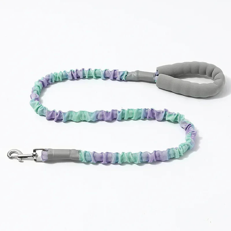 Pet Supplies custom elastic rope dog leash outdoor explosion-proof pet leash