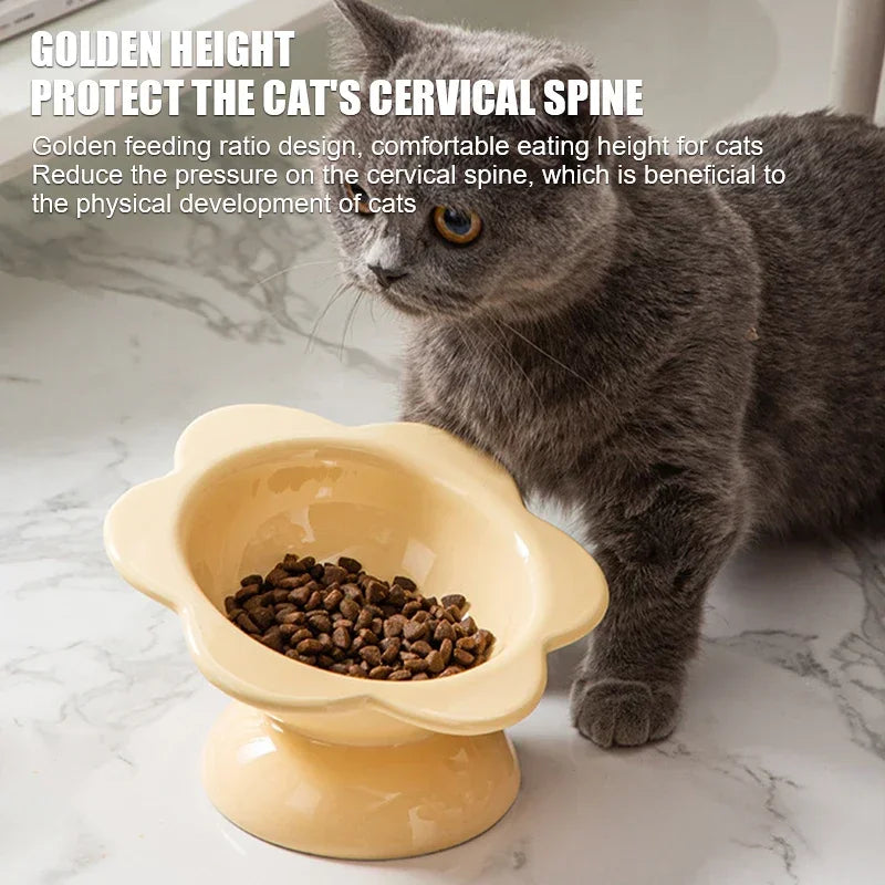 Cat Water Ceramic Bowl Raised Pet Drinking Eating Food Bowls Puppy Dogs Elevated Tilted Feeder Products