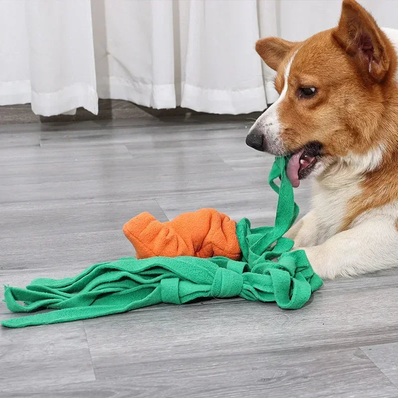 Dog Sniffing Toys for Small Dog Carrot Shape Squeaky Interactive Snuffle Training Food Slow Feeder Pet Nosework Toy Pet Supplies