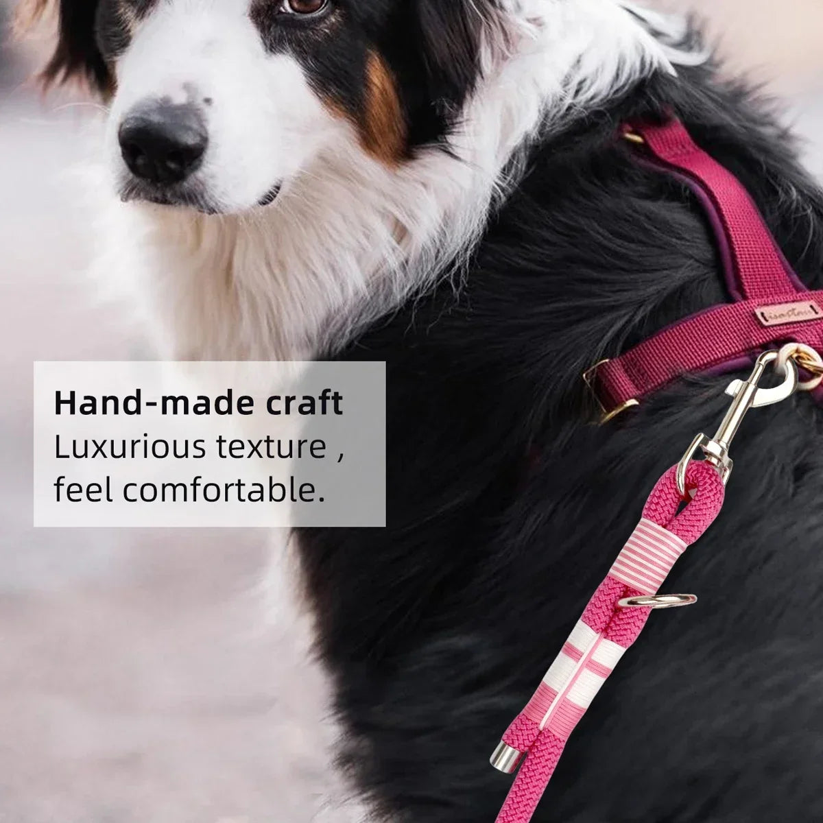 Colorful Double Dog Lead Rope Nylon Weaving Fashion Pet Supplies Waist Atrap and Crossbody Leash Multi-functional Dog Leashes