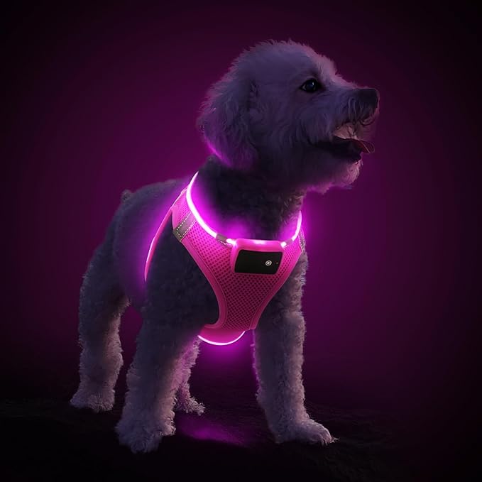 Harnesses