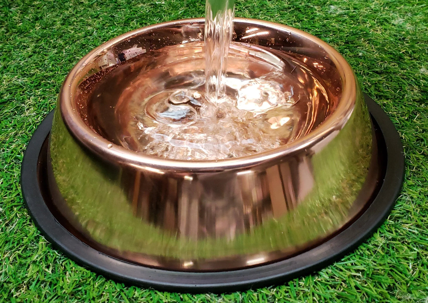 Dog bowls