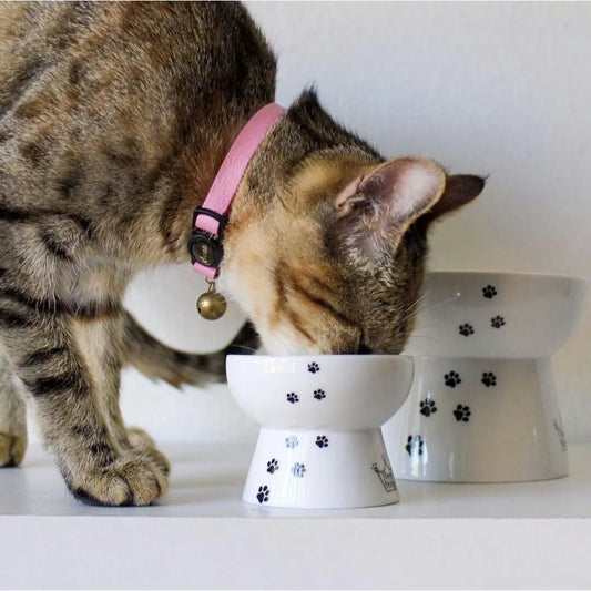 Raised Cat Treats Bowl Adorable Design Non-Slip Feeding Bowl Stress Reducing Height Dishwasher Safe Japan Import Pet Supplies