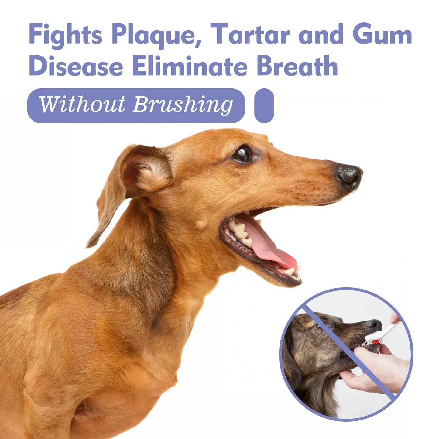 Pet Tooth Cleaning Spray Dogs Remove Bad Breath Freshener Cats Oral Cleaning Dental Care Deodorization Spray Pet Supplies 30ml