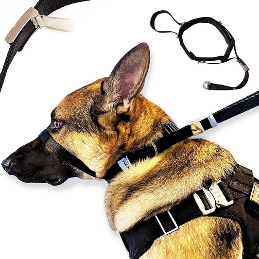 Large No Pull Dog Headcollar Adjustable Training Gear Gentle Comfortable Design Walking Leash Control Safe Humane Solution
