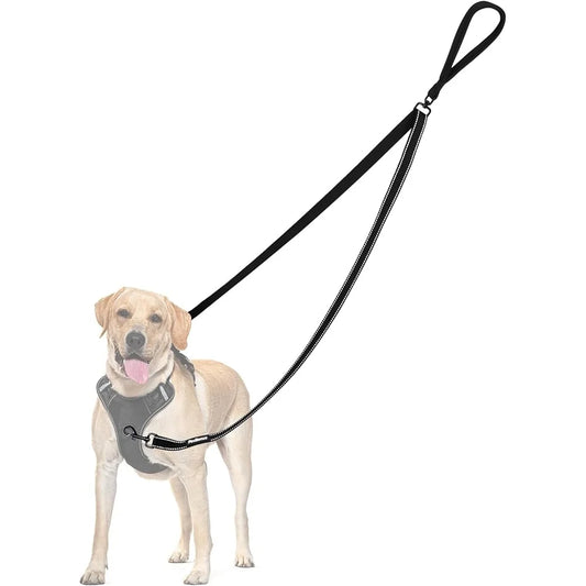 Reflective Two Point Control Dog Leash No Pull Training Lead Soft Padded Handle Comfortable Walking Harness Compatible