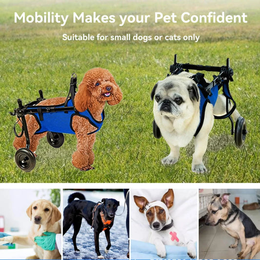 Adjustable Dog Wheelchair For Pet Mobility Cart With Rehabilitation Wheels Leg Support & Harnessfor Small/medium Disabled Pets