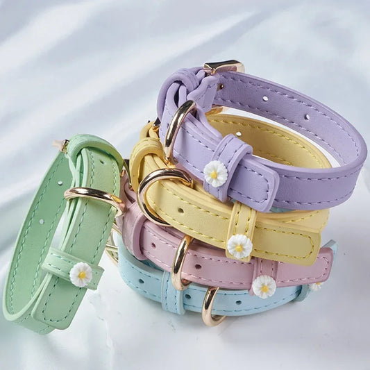 PU Leather Dog Collar with Daisy Decoration Comfortable Pet Collar For Small Dogs Cat Collar Pet Supplies