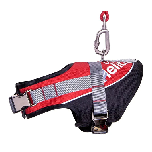 2-in-1 Premium Performance Adjustable Dog Harness and Leash,2-in-1 Premium Performance Adjustable Dog Harness and Leash