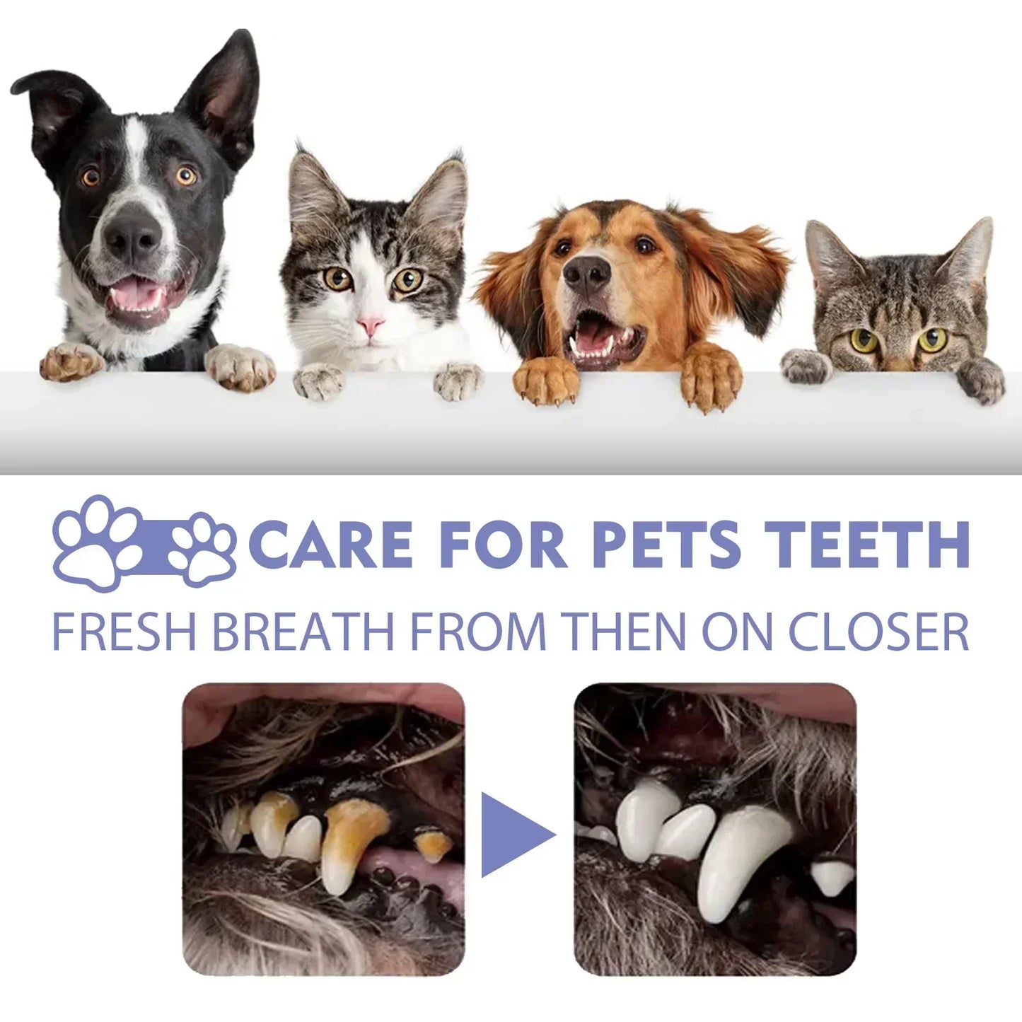 Pet Tooth Cleaning Spray Dogs Remove Bad Breath Freshener Cats Oral Cleaning Dental Care Deodorization Spray Pet Supplies 30ml