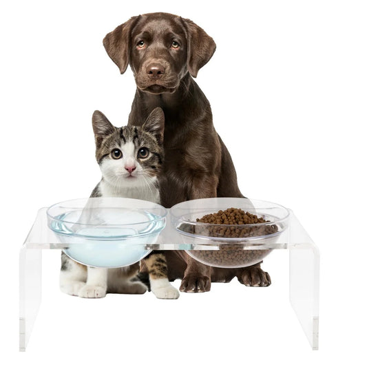 Elevated Dog Cat Bowls Set Acrylic Stand 7.1in Tall Four Bowls Included Easy Clean Modern Design Stable Feeding Station